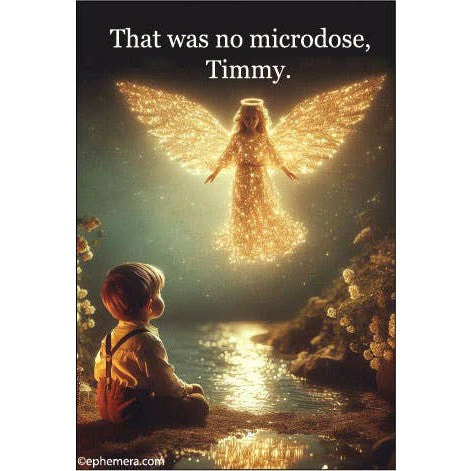 That Was No Microdose Timmy Rectangular Magnet | Fridge Magnetic Surface Magnet Decor | 3" x 2"