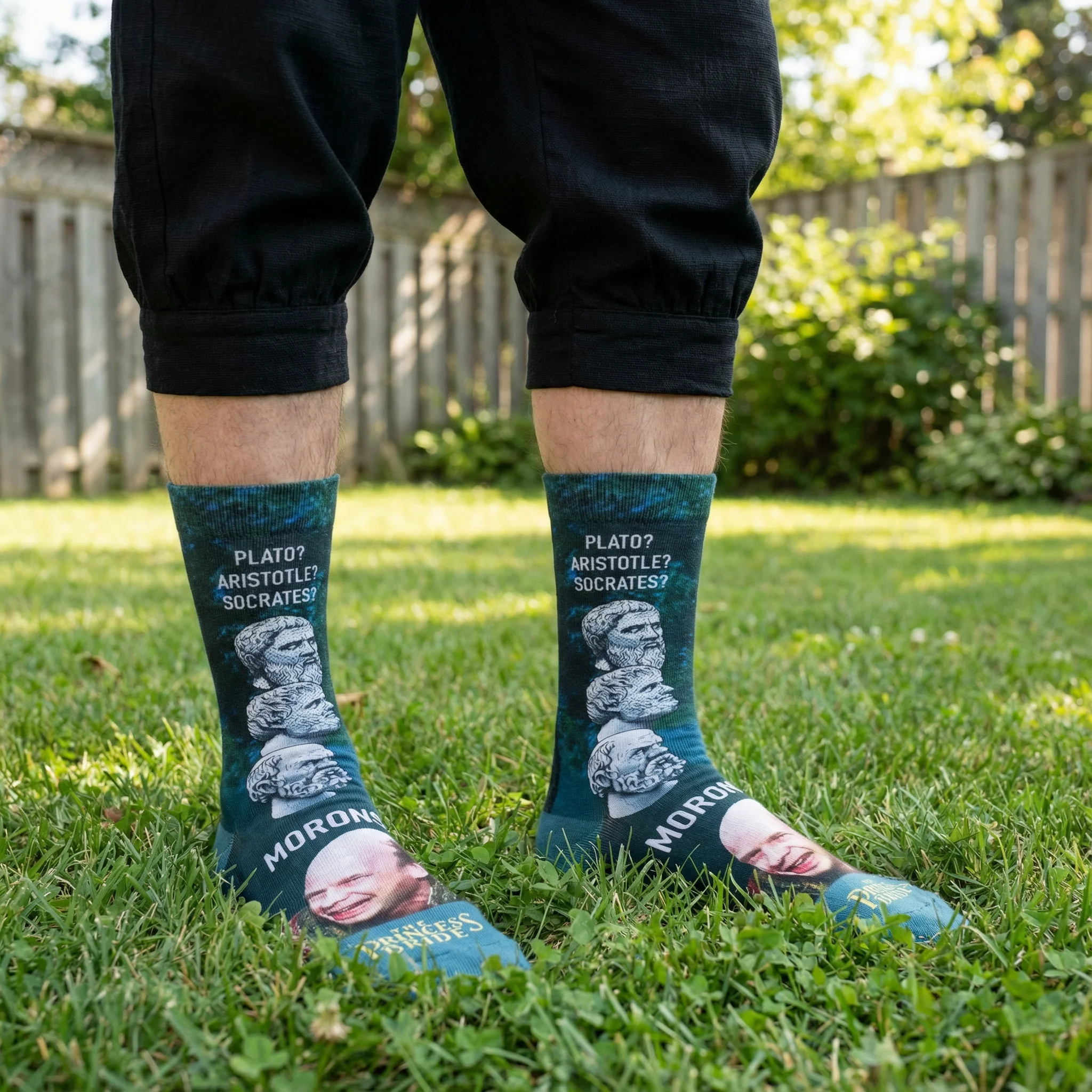 The Princess Bride “Morons” Men's Socks | Funny Movie Quote Socks - Image 6