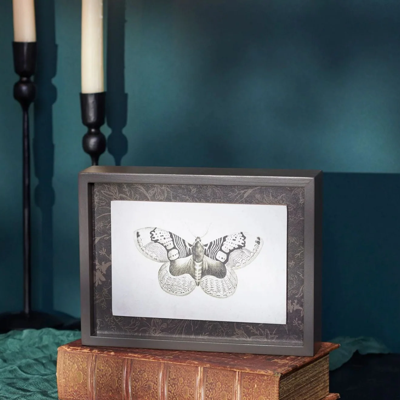 Moth Inset Box Sign | Dark Academia Vintage Wall Decor | 8" x 6" - Image 4