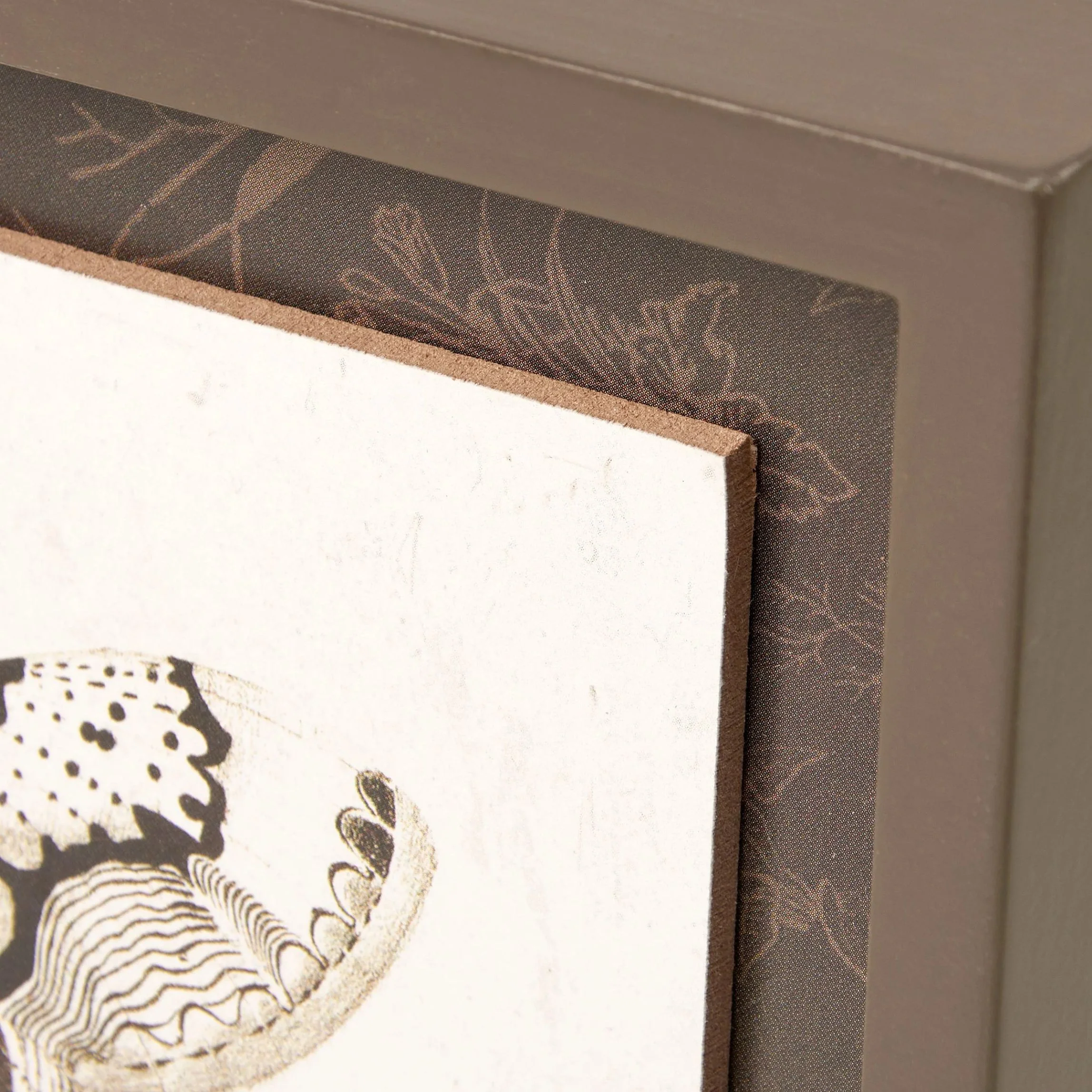 Moth Inset Box Sign | Dark Academia Vintage Wall Decor | 8" x 6" - Image 5