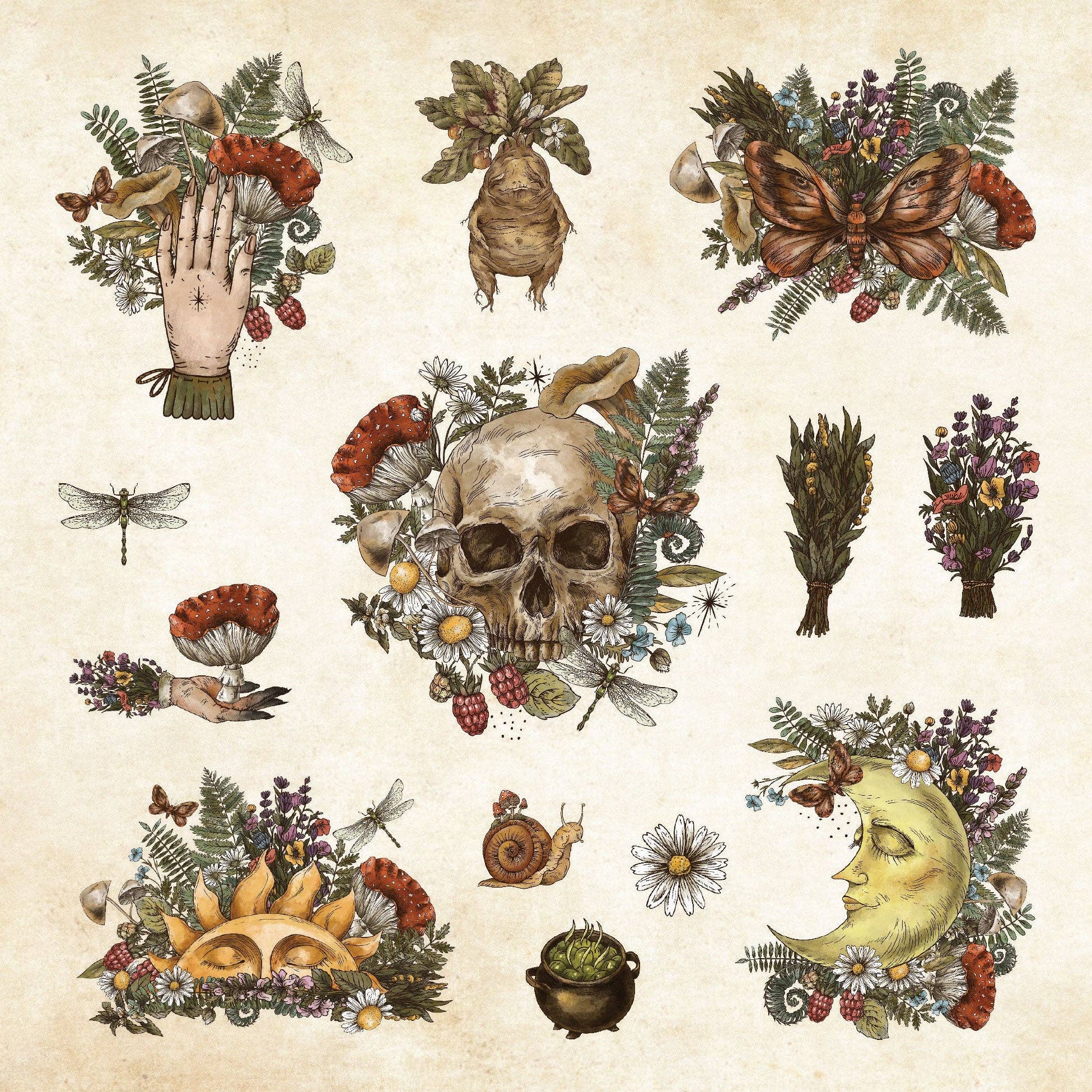Mystical Ephemera Stickers | An Enchanting Vintage Sticker Book | Over 900 Decals - Image 7