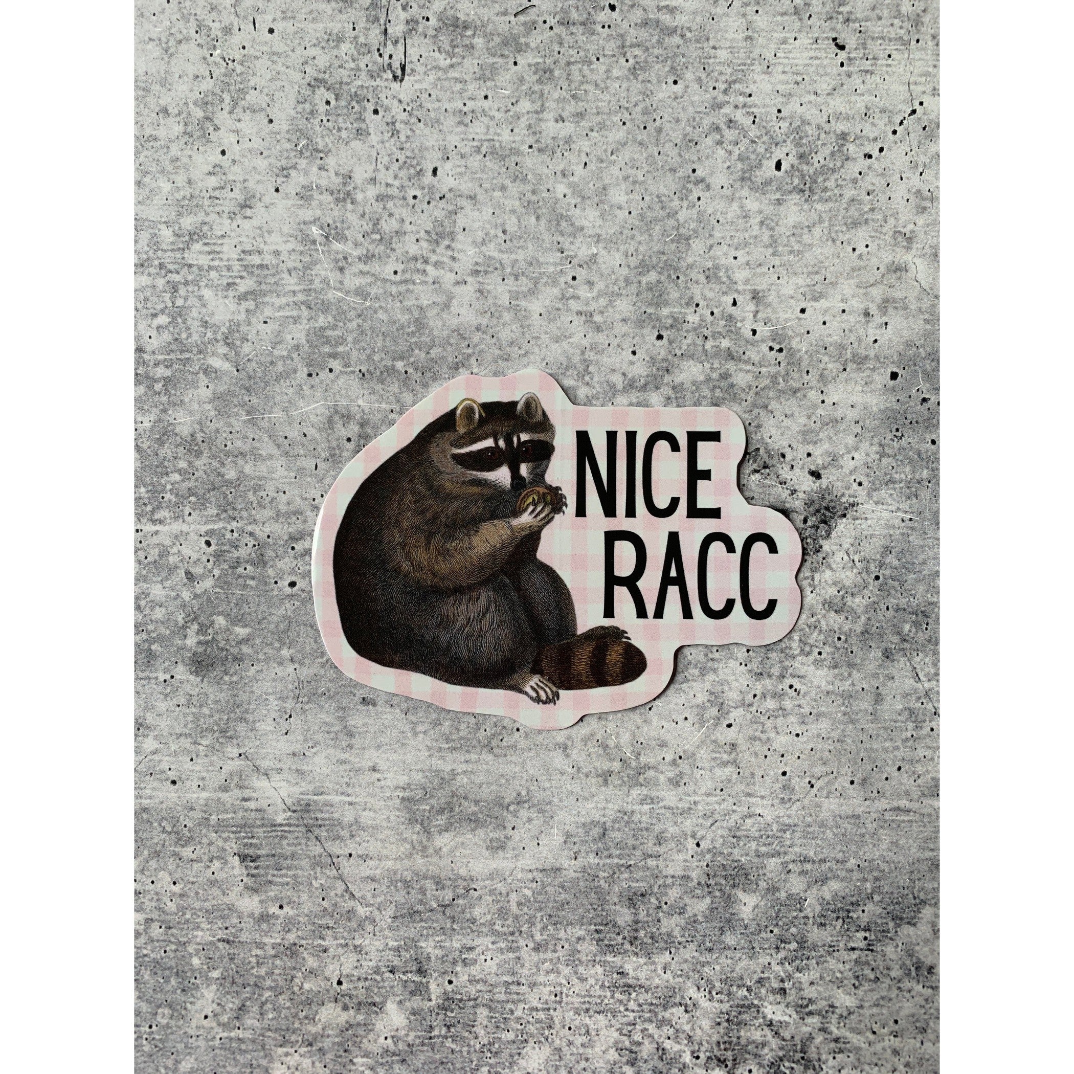 Nice Racc Die Cut Vinyl Sticker | Punny Vintage Historical Animal Illustration - Image 2
