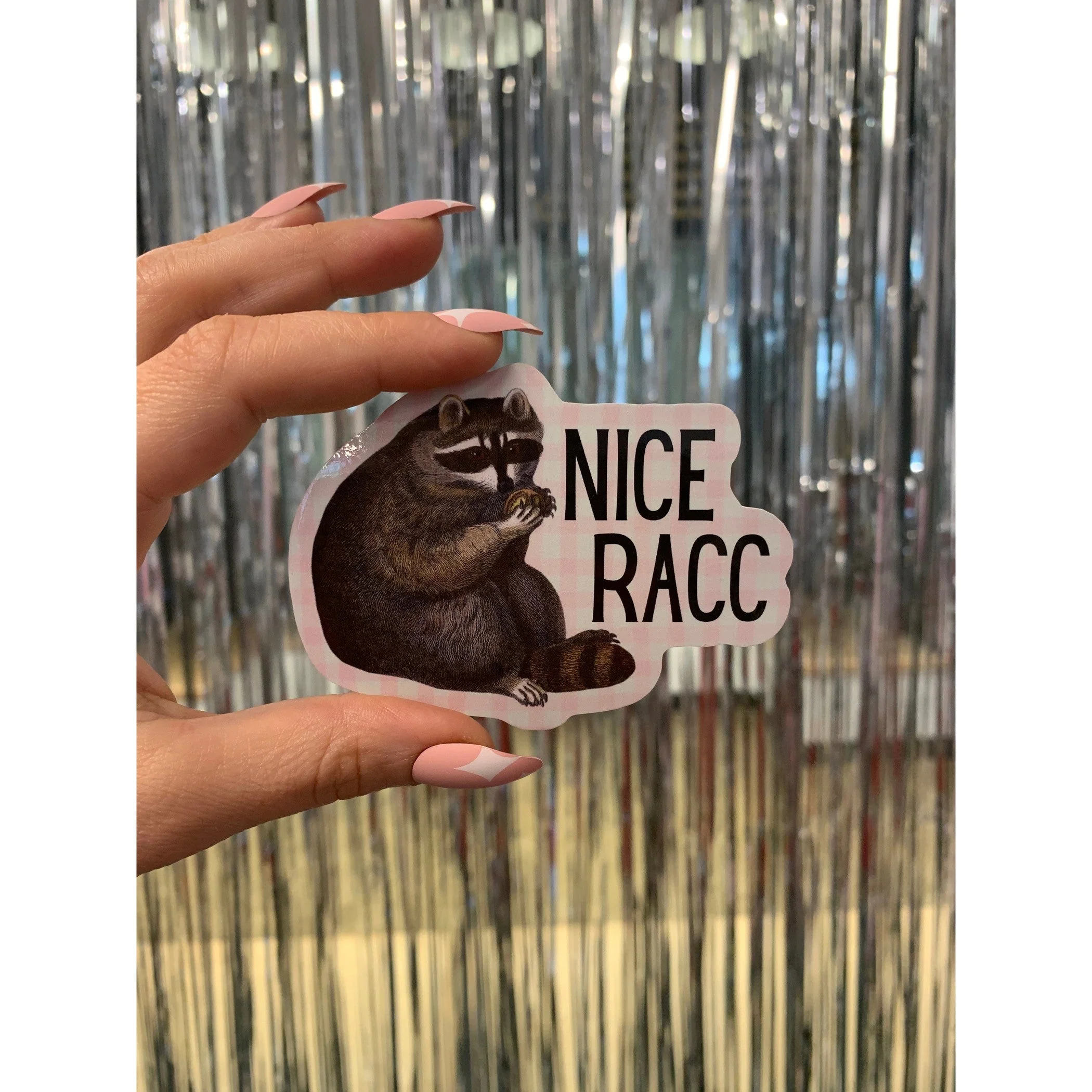 Nice Racc Die Cut Vinyl Sticker | Punny Vintage Historical Animal Illustration - Image 5
