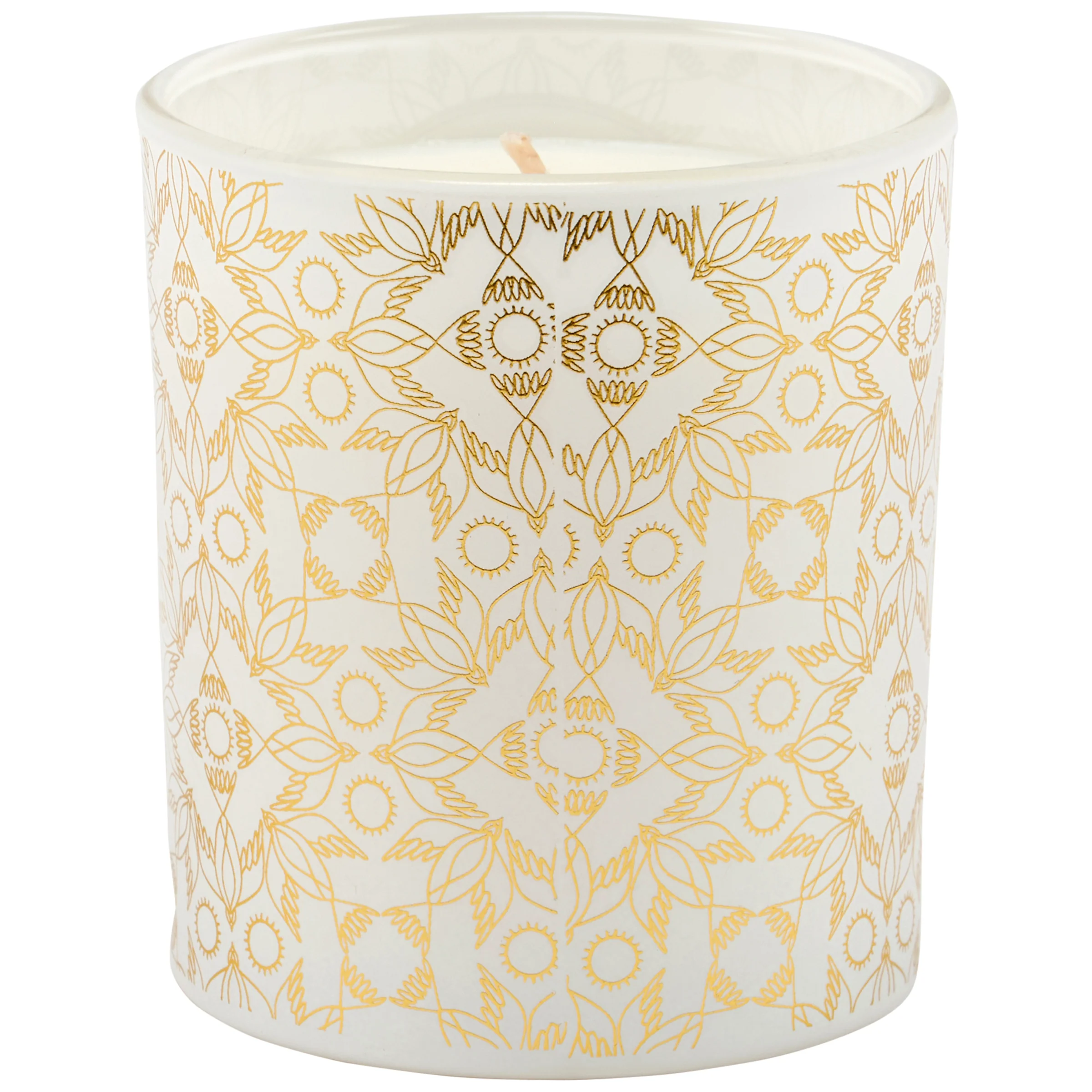 Nouveau Crane Sage Scent Jar Candle | Bird Pattern Metallic Gold Accent Frosted Glass | 35hrs Burn Time - Image 5