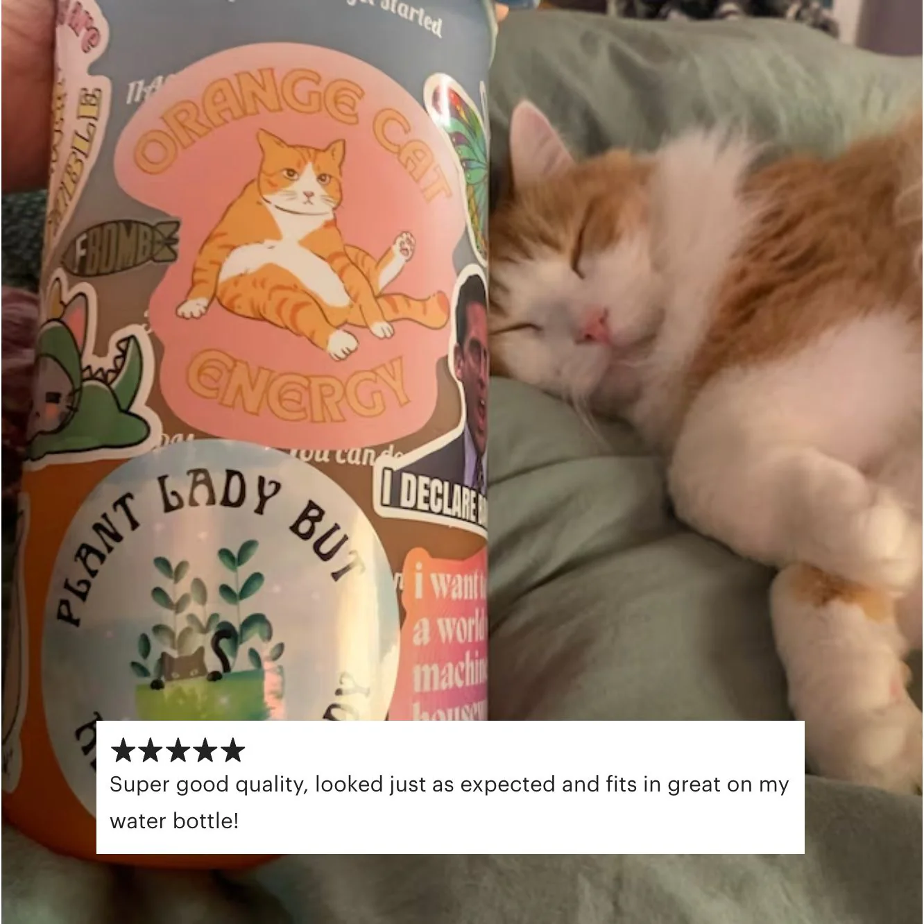 Orange Cat Energy Glossy Die Cut Vinyl Sticker 3.35in x 3.34in - Image 3