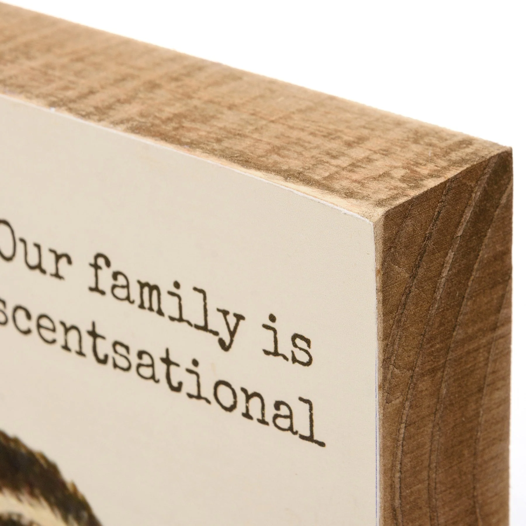 Our Family Is Scentsational Skunk Motif Punny Wooden Block Sign | 4" x 4" - Image 4