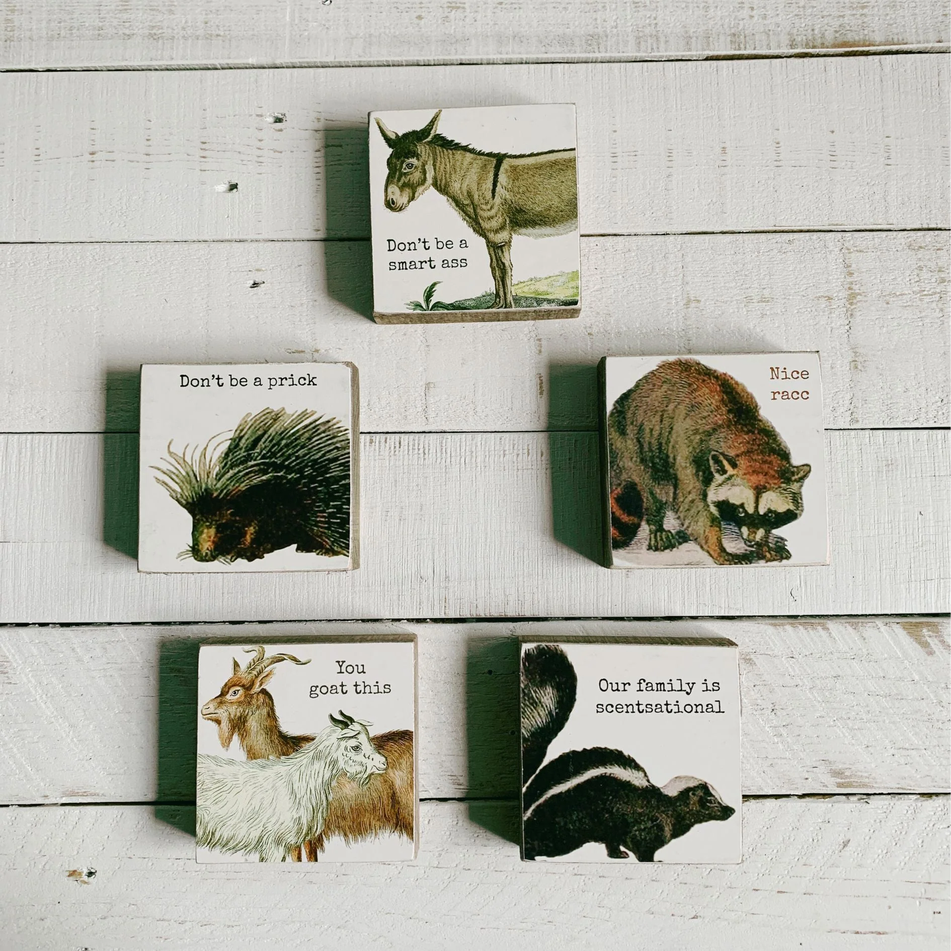 Our Family Is Scentsational Skunk Motif Punny Wooden Block Sign | 4" x 4" - Image 7