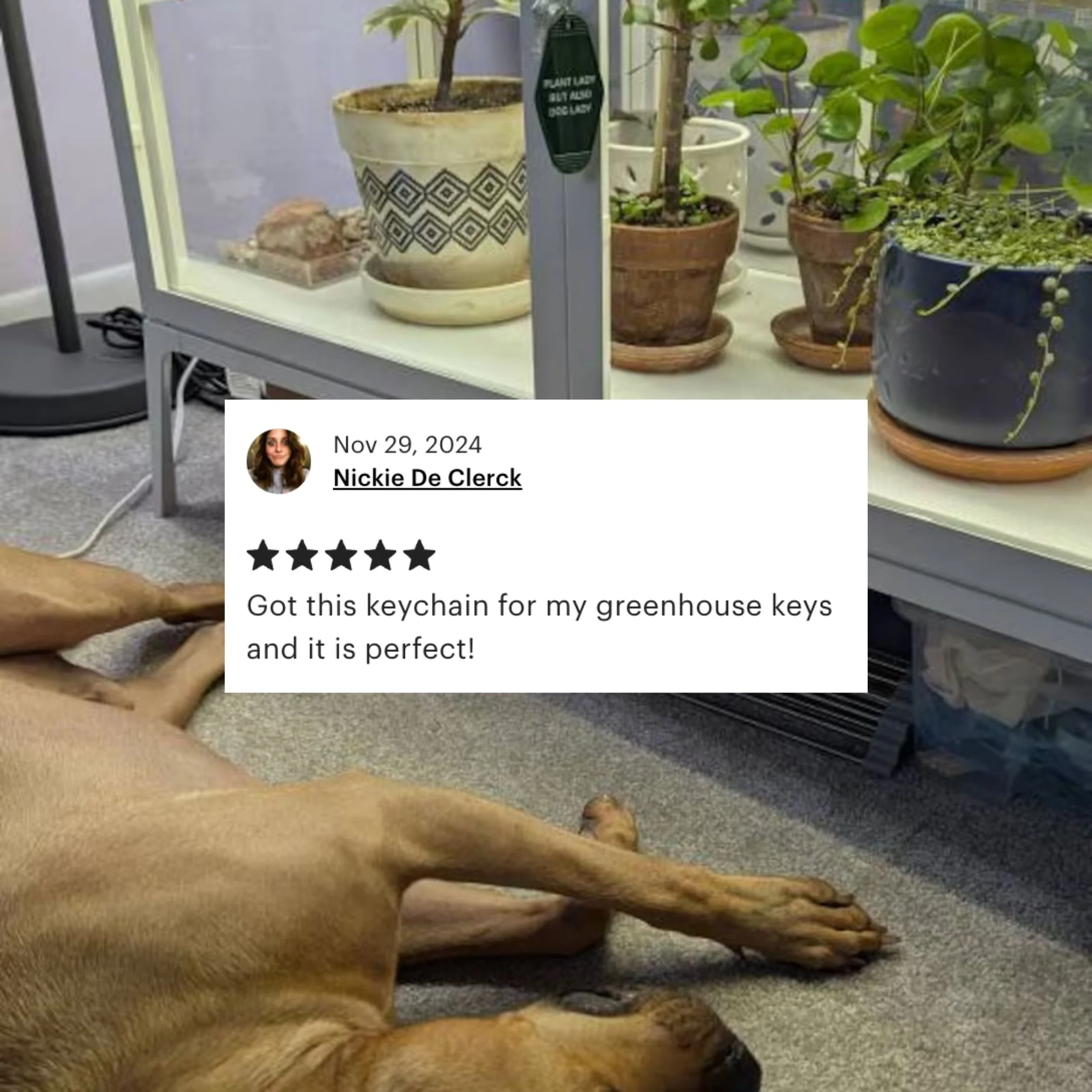 Plant Lady But Also Dog Lady Motel Style Keychain | Green - Image 7