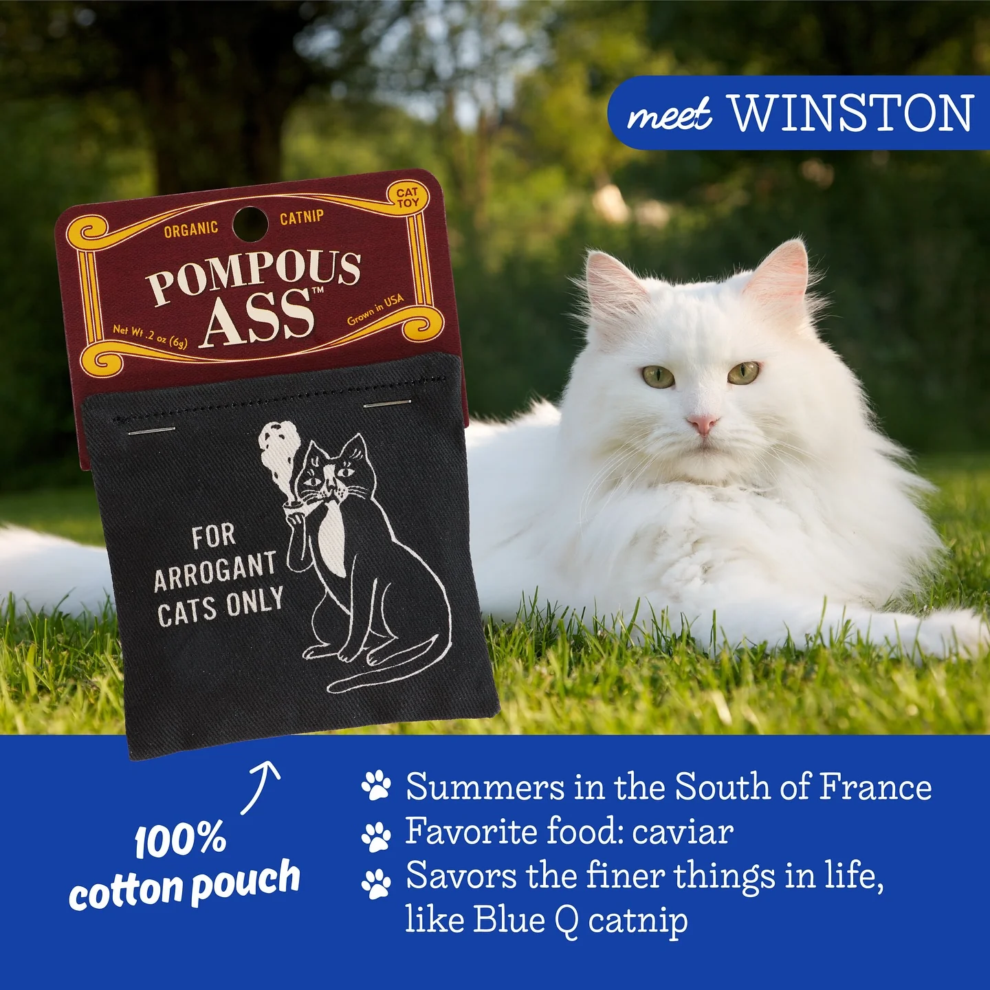 Pompous Ass Catnip Toy | Premium Organic Catnip in Illustrated Cotton Pouch | BlueQ at GetBullish - Image 4