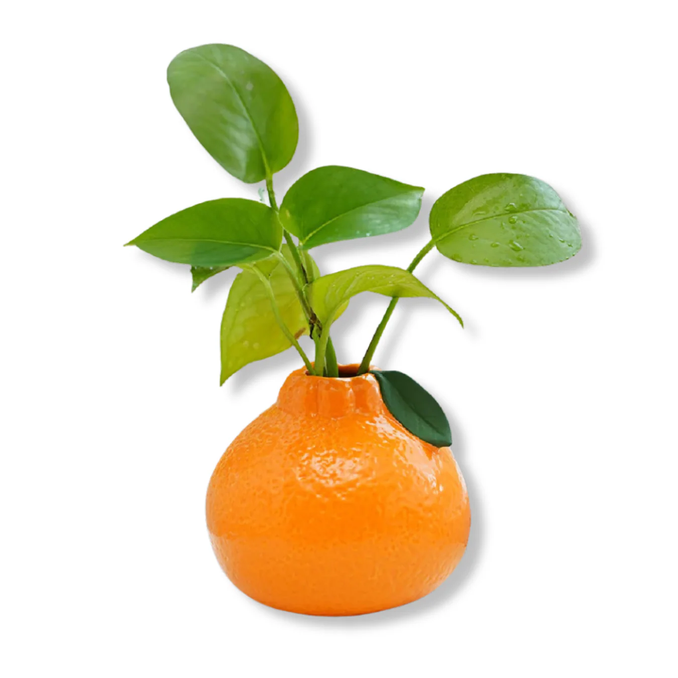 Realistic Orange Vase - Image 2