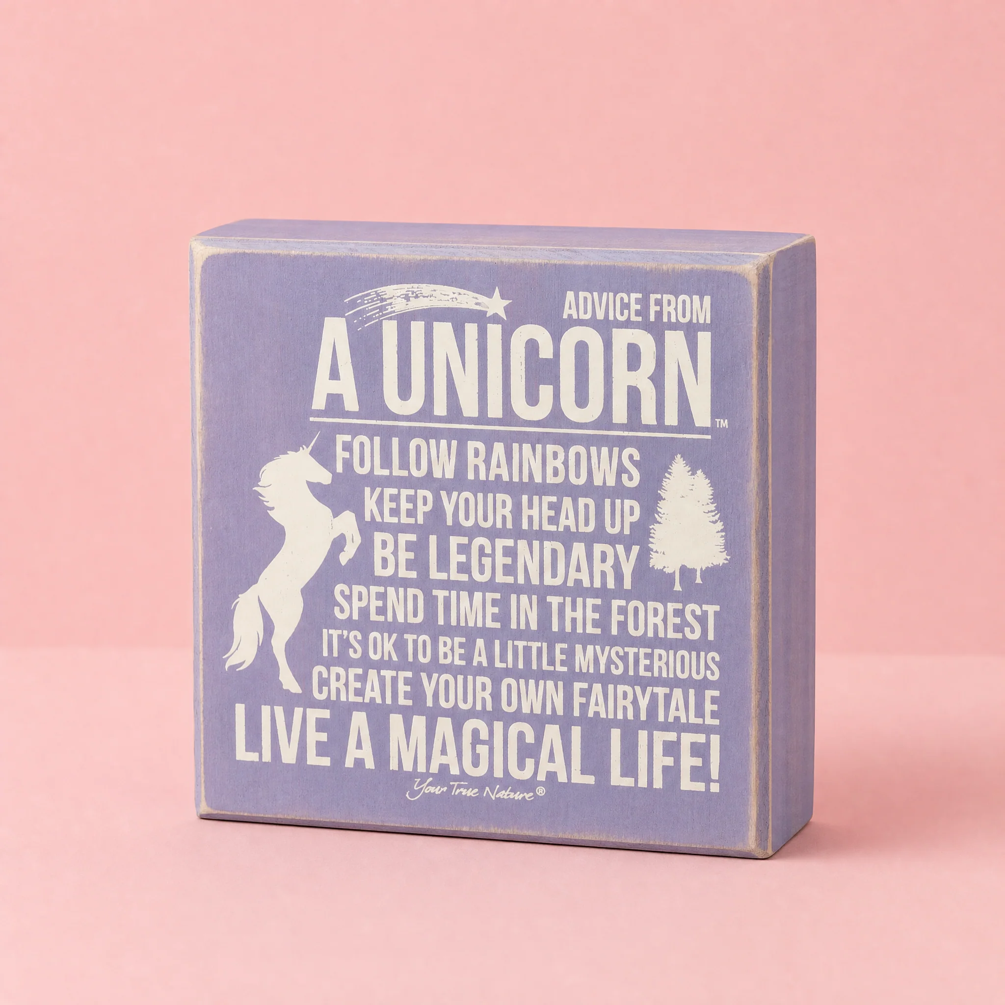 Snarky Quote Wooden Box Signs - 20+ Options! - Image 20