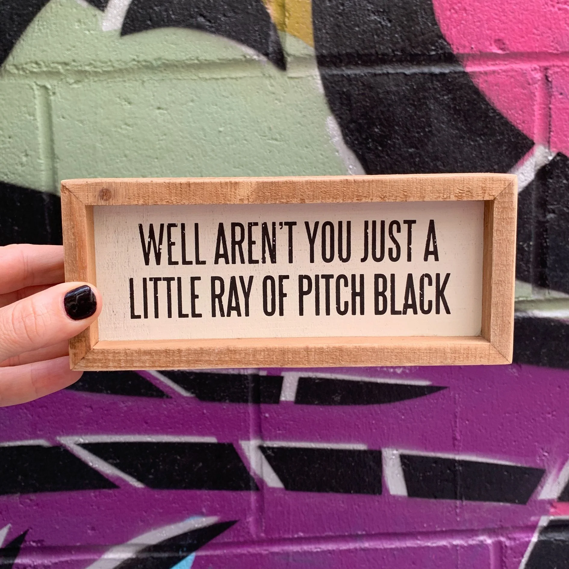 Snarky Quote Wooden Box Signs - 20+ Options! - Image 41