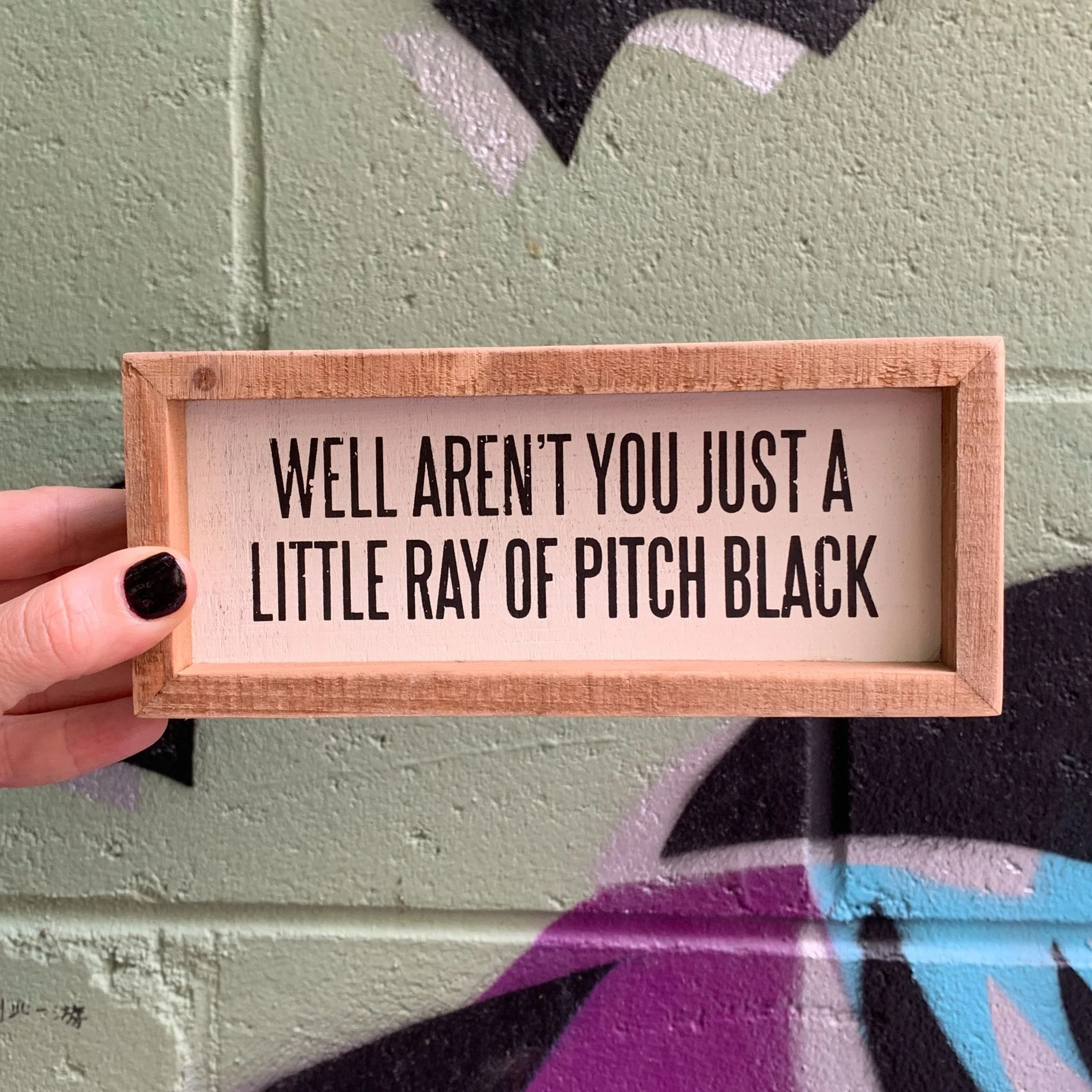 Snarky Quote Wooden Box Signs - 20+ Options! - Image 42