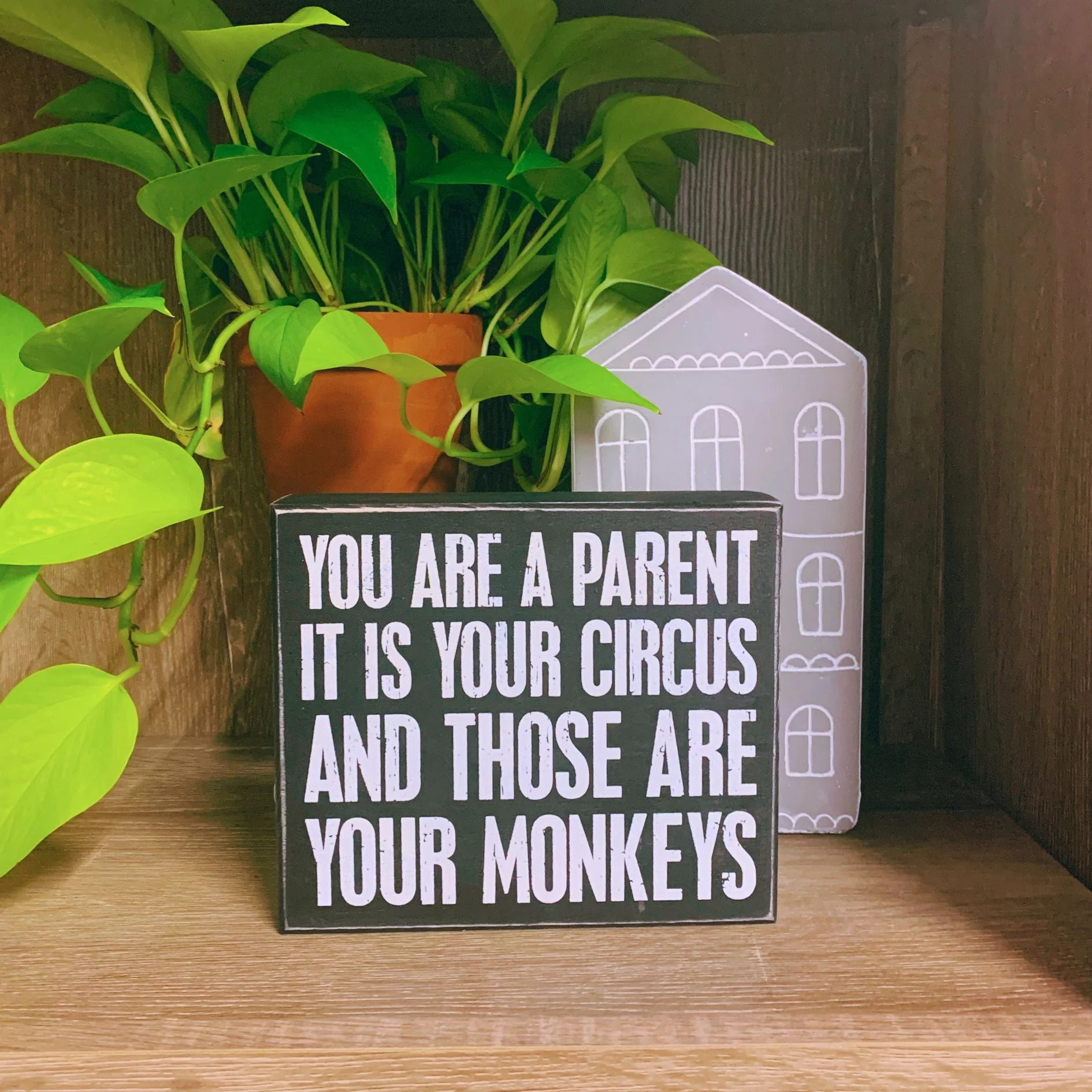 Snarky Quote Wooden Box Signs - 20+ Options! - Image 53