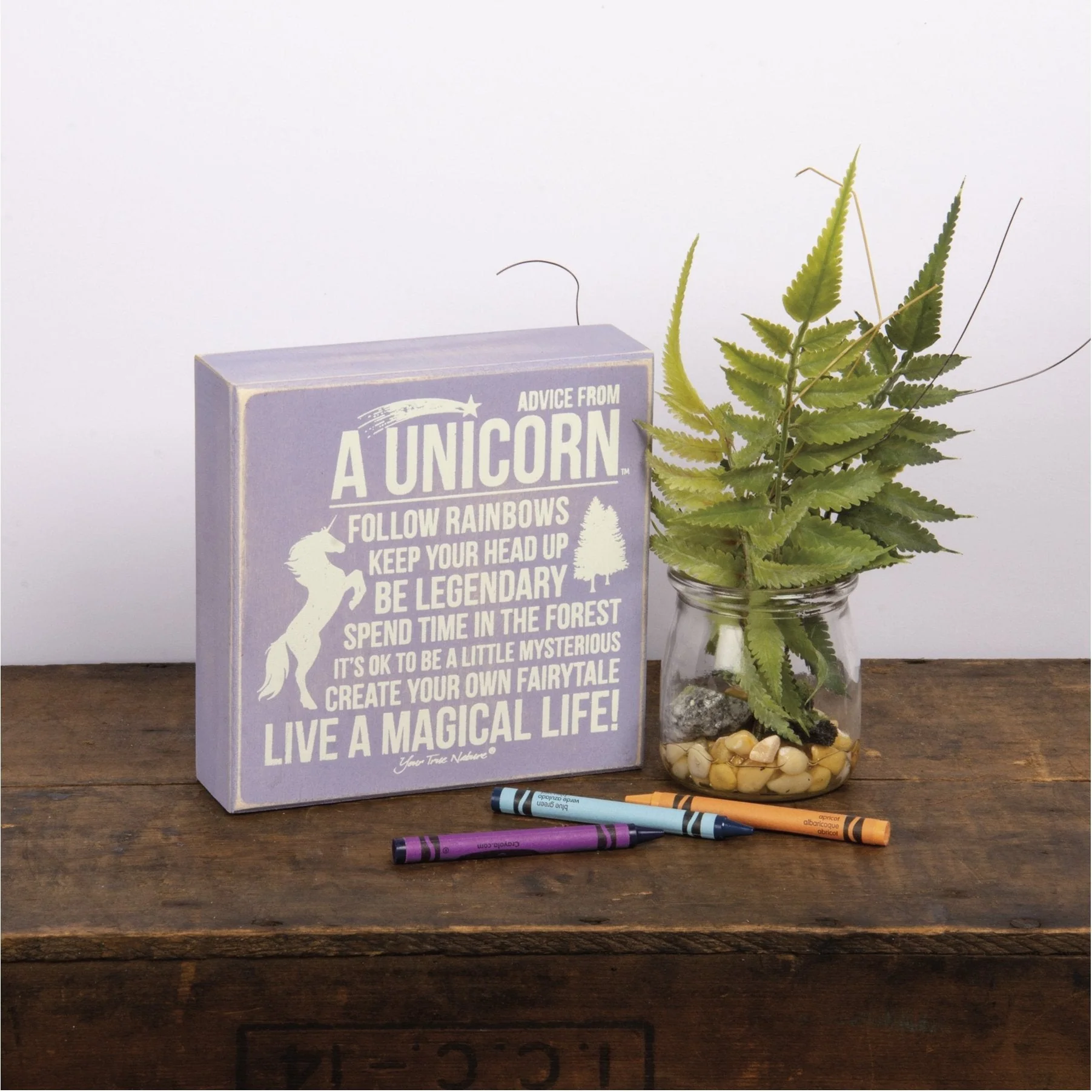Snarky Quote Wooden Box Signs - 20+ Options! - Image 67