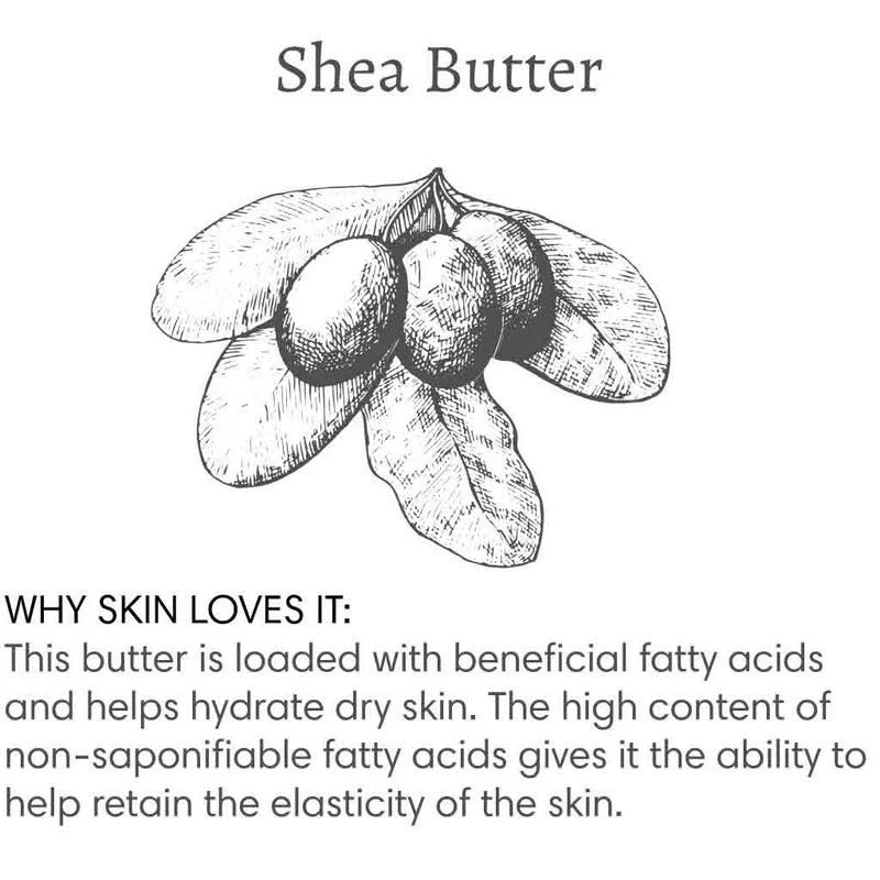 The Vanilla Effect Body Cream | Handmade + Cruelty-Free | Macadamia, Almond Oil | 8oz - Image 2