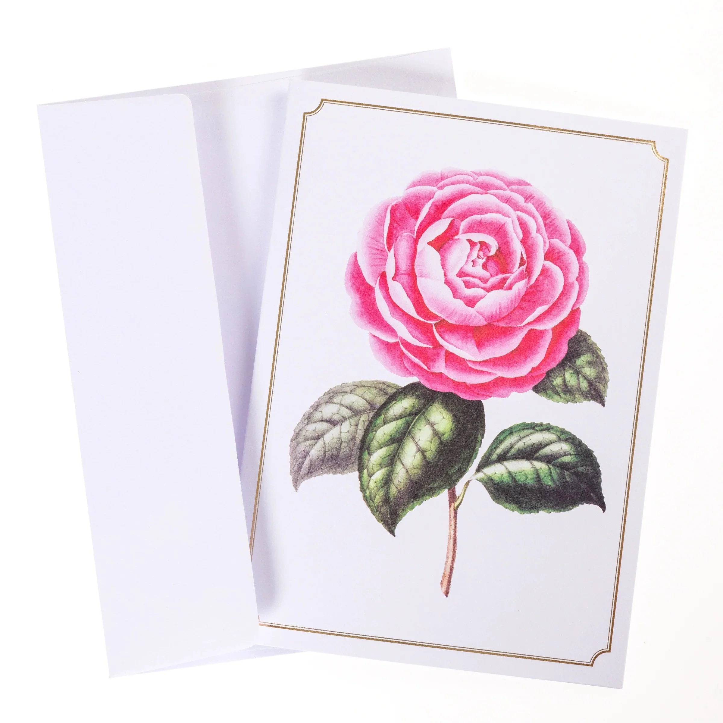 Vintage Floral Greeting Cards in Keepsake Boxed | Personalized Note Cards | 4.25"x 6" - Image 6