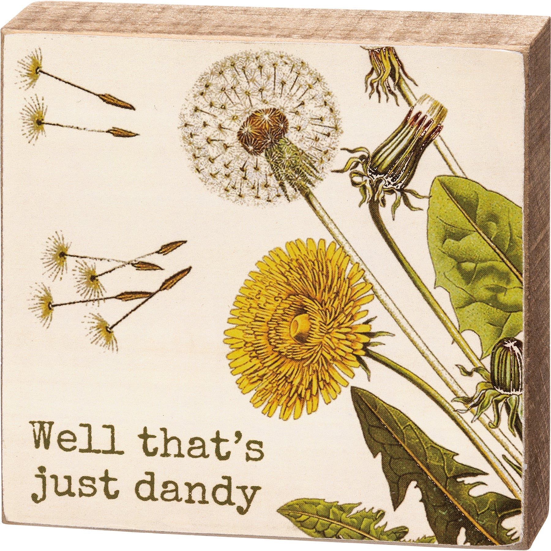 Well That's Just Dandy Dandelion Wooden Block Sign | 4" Square - Image 2