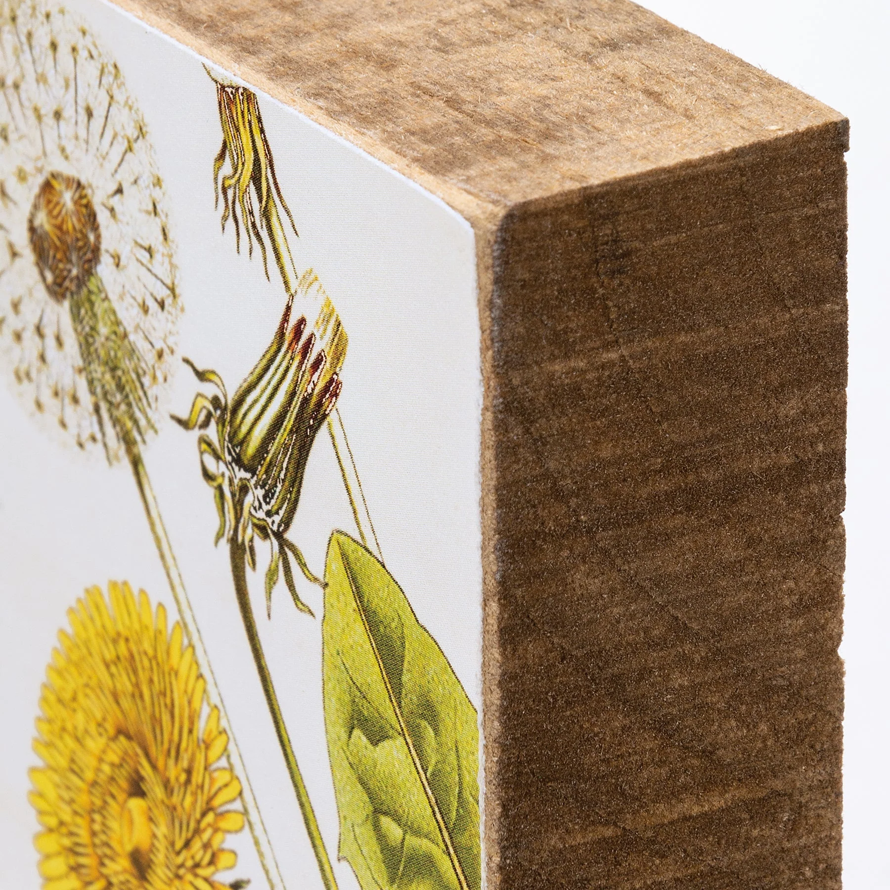 Well That's Just Dandy Dandelion Wooden Block Sign | 4" Square - Image 4