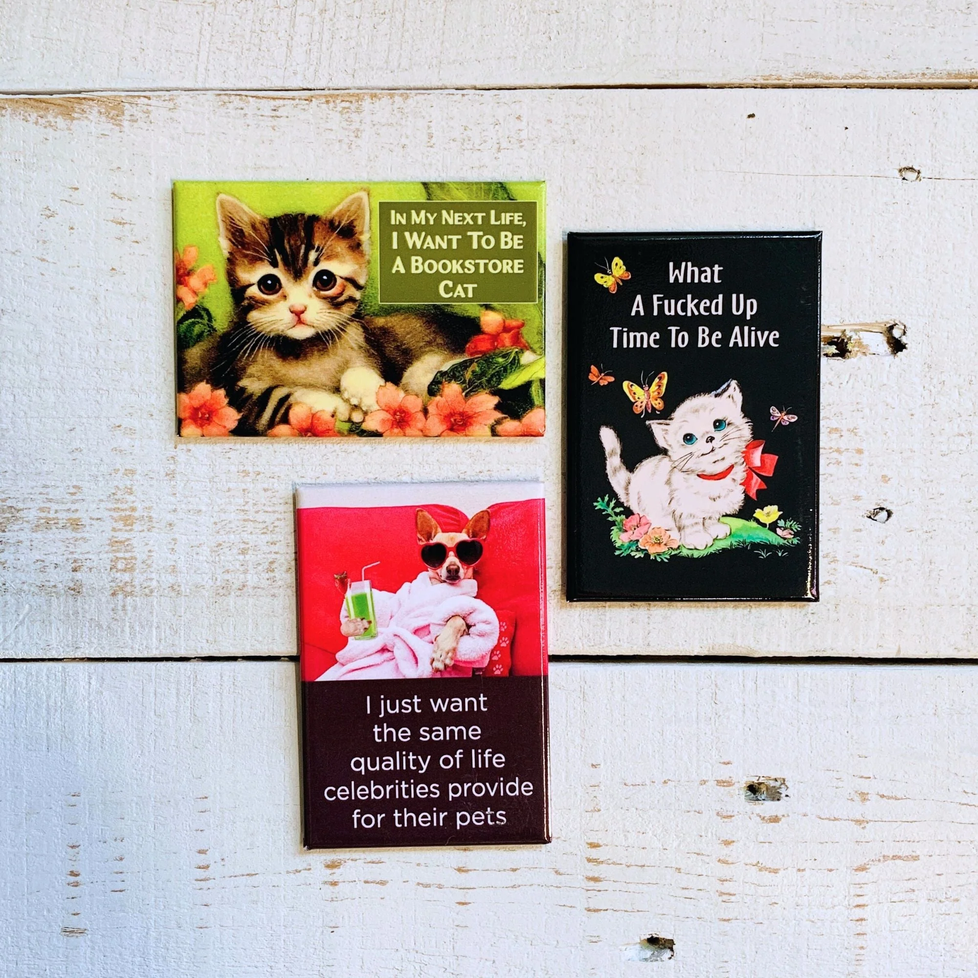 What A Fucked Up Time To Be Alive Kitten Fridge Magnet - Image 4