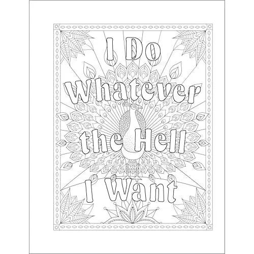 You Are a F-cking Rock Star Adult Coloring Book | Funny Motivational Swear Word Coloring Book - Image 4