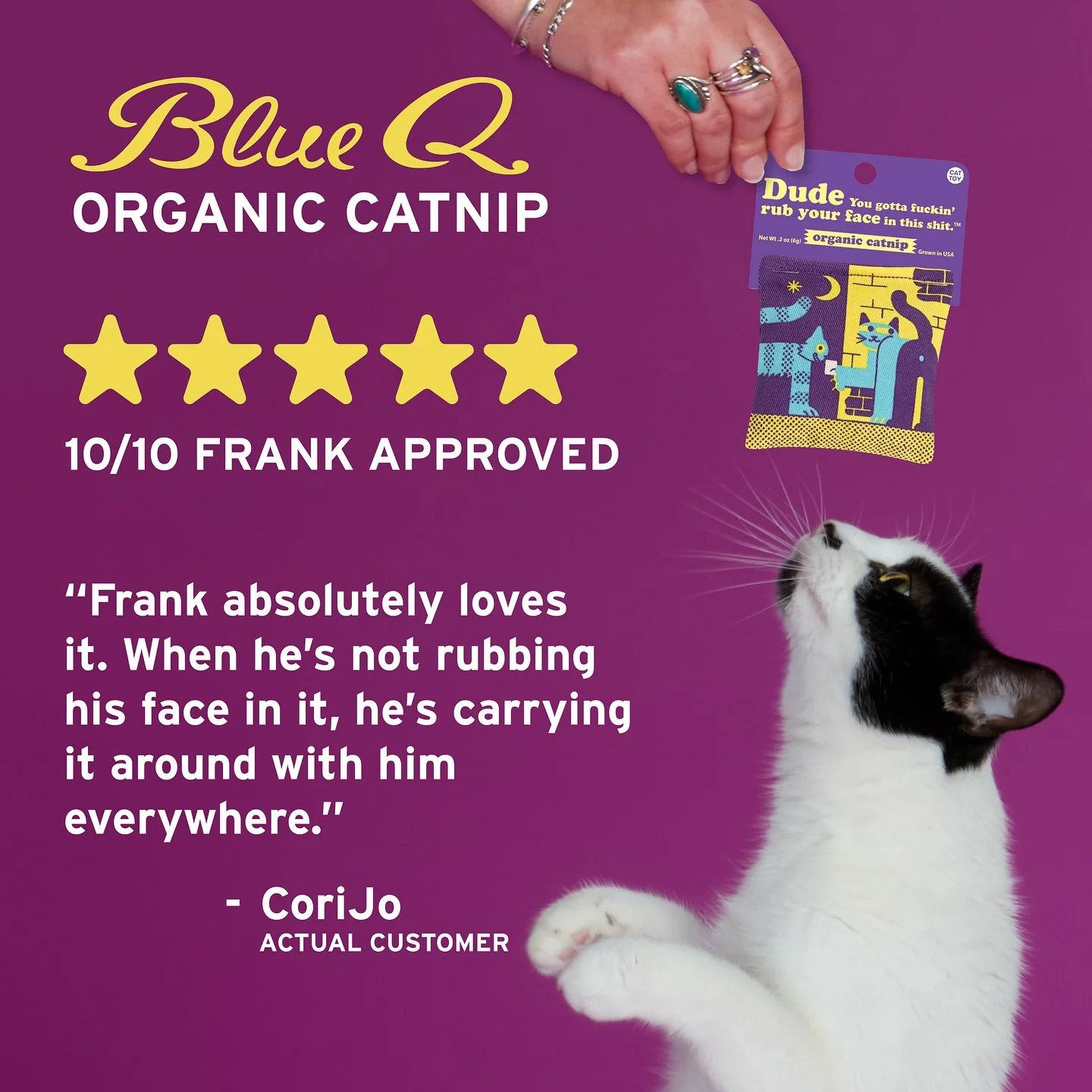 Existential Kitty Catnip Cat Toy | Premium Organic Catnip in Illustrated Cotton Pouch | BlueQ at GetBullish - Image 5
