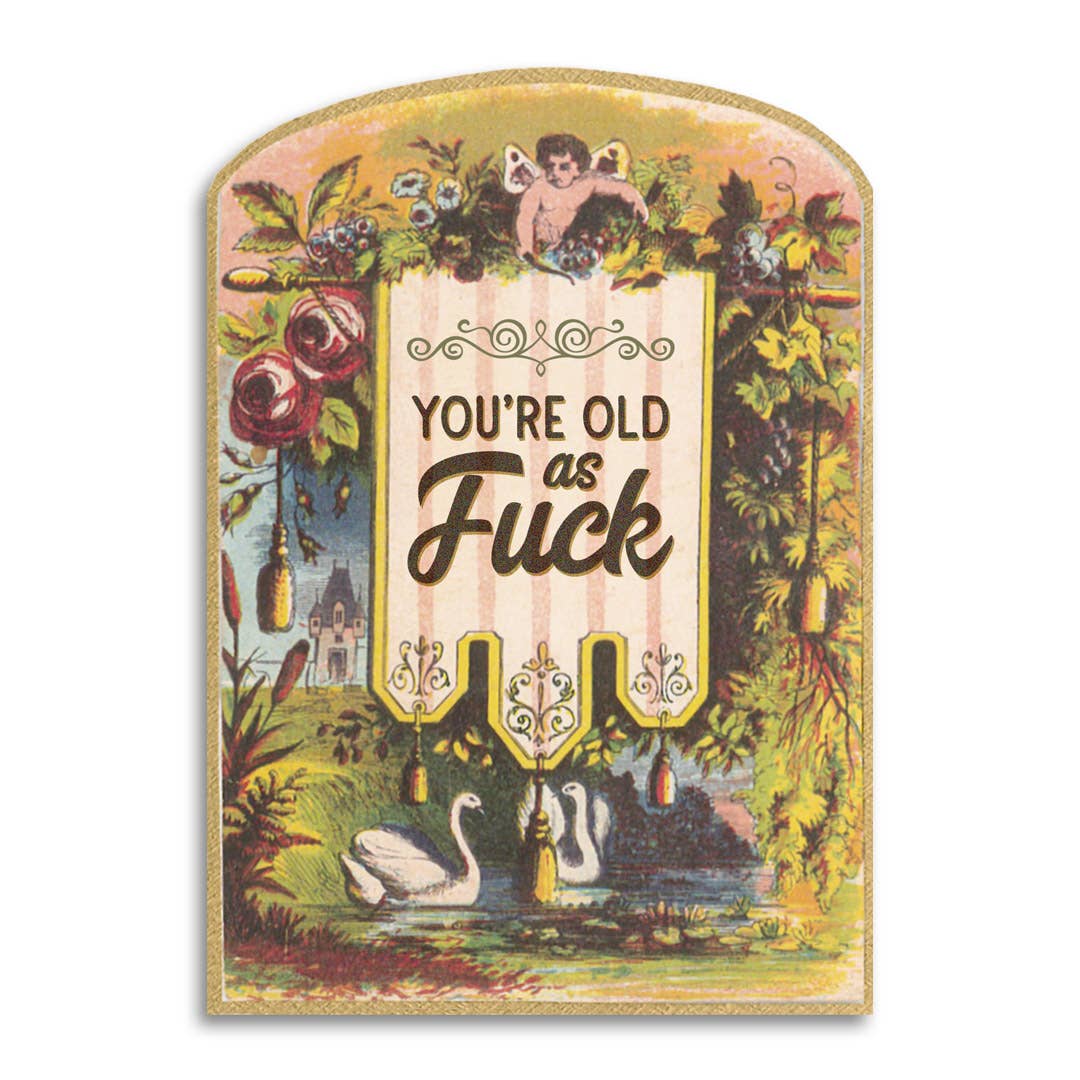 You're Old as Fuck Vintage Birthday Greeting Card