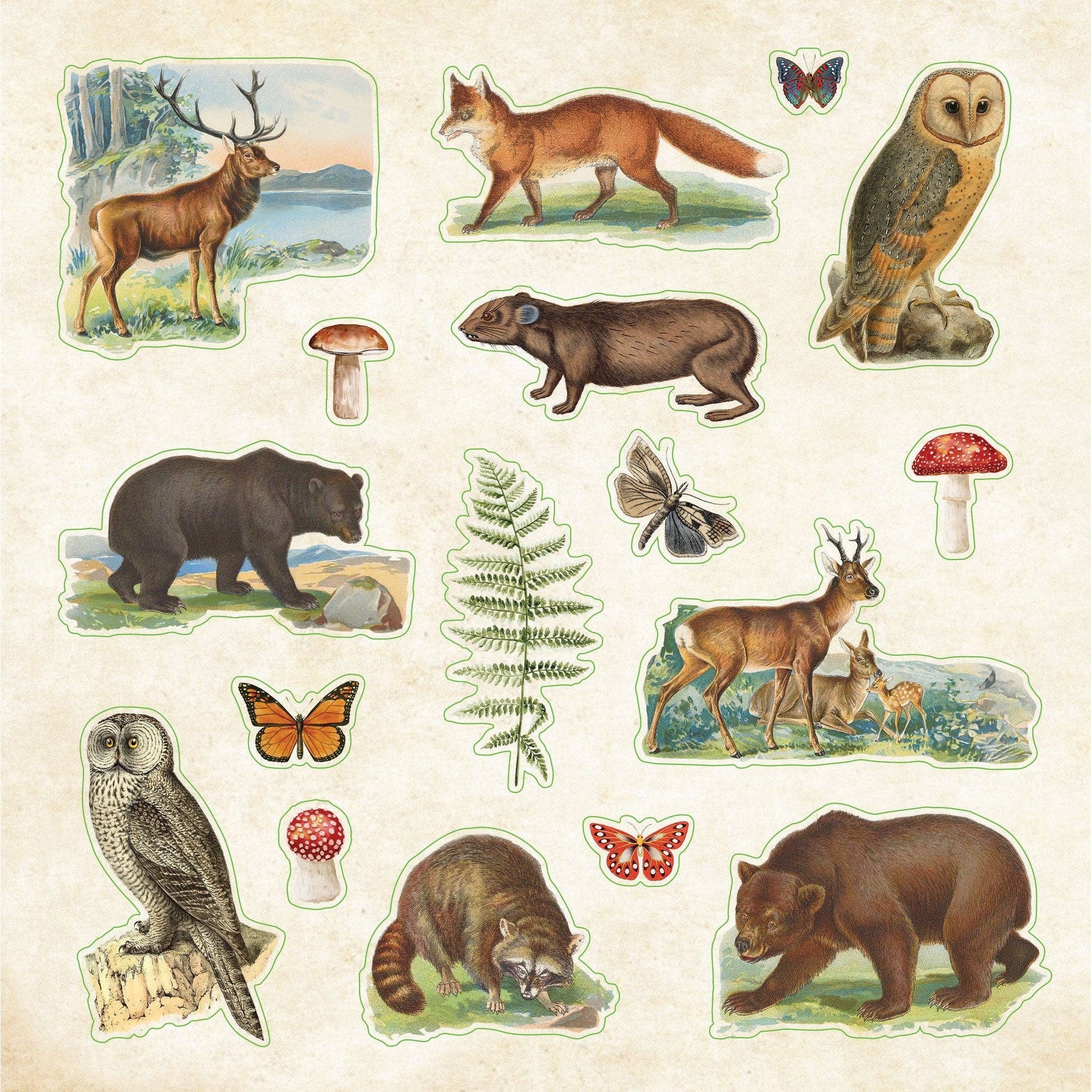 Zoological Ephemera Sticker Books | 50 Pages Animal Lovers Decals Collection | 6.5'' - Image 6